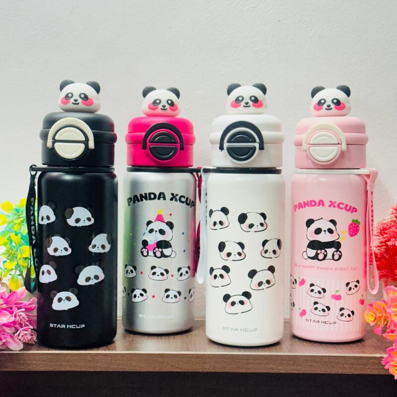 2 in 1 sipper steel bottle